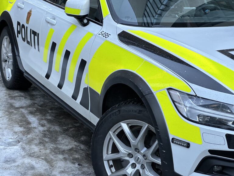 Politiet fikk en enkel jobb med å finne bilen da eieren hadde sporing på den. Nå er en mann dømt for både tyveri og ruskjøring.
