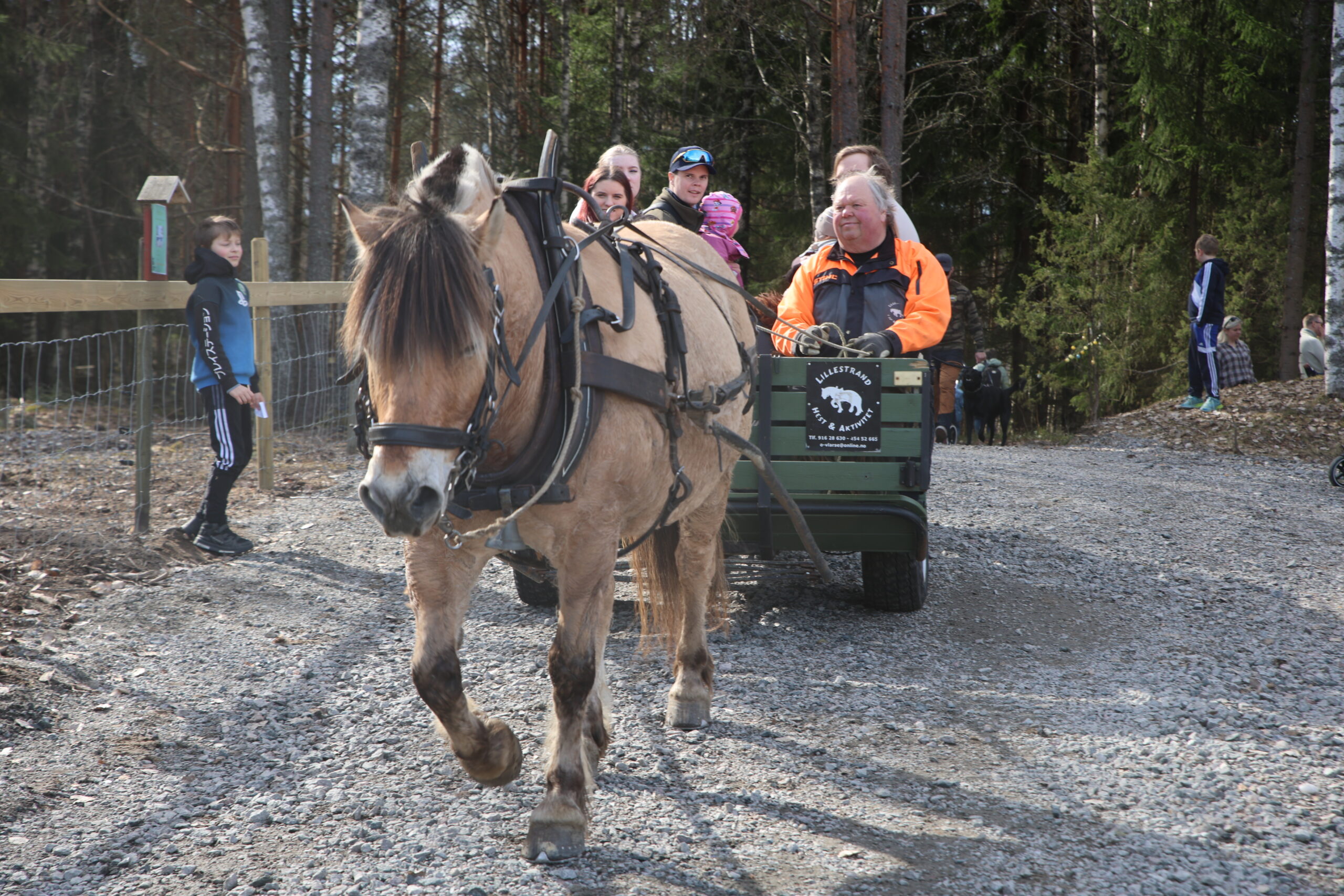 Å få en tur i området med hest og vogn er alltid populært på de åpne dagene.