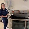 Bernersennen hunden Luna er på trening i vanntredemølla sammen med rehabiliteringsterapeut Olaug Andrea Smedsrud.