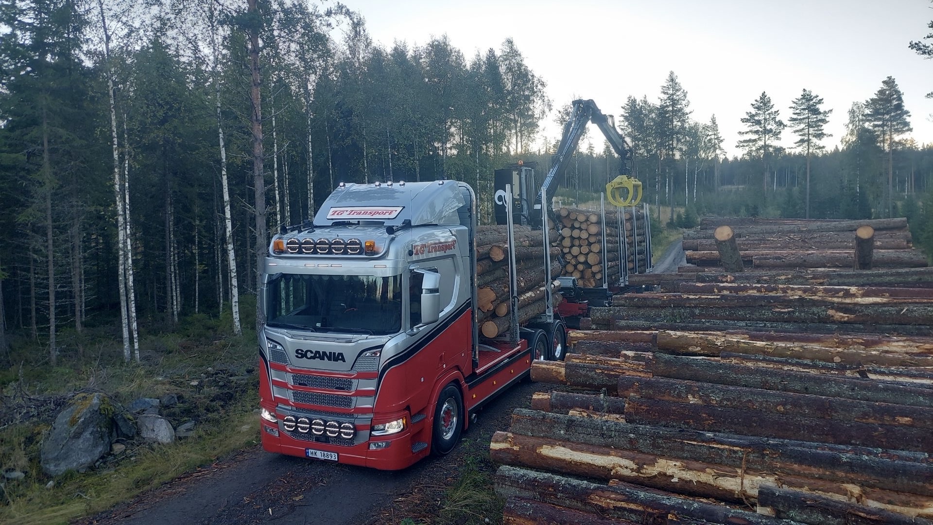 TG Transport har spesialisert seg på tømmertransport.