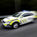 Politiet har pågrepet to personer mistenkt for forsøk på butikktyveri.