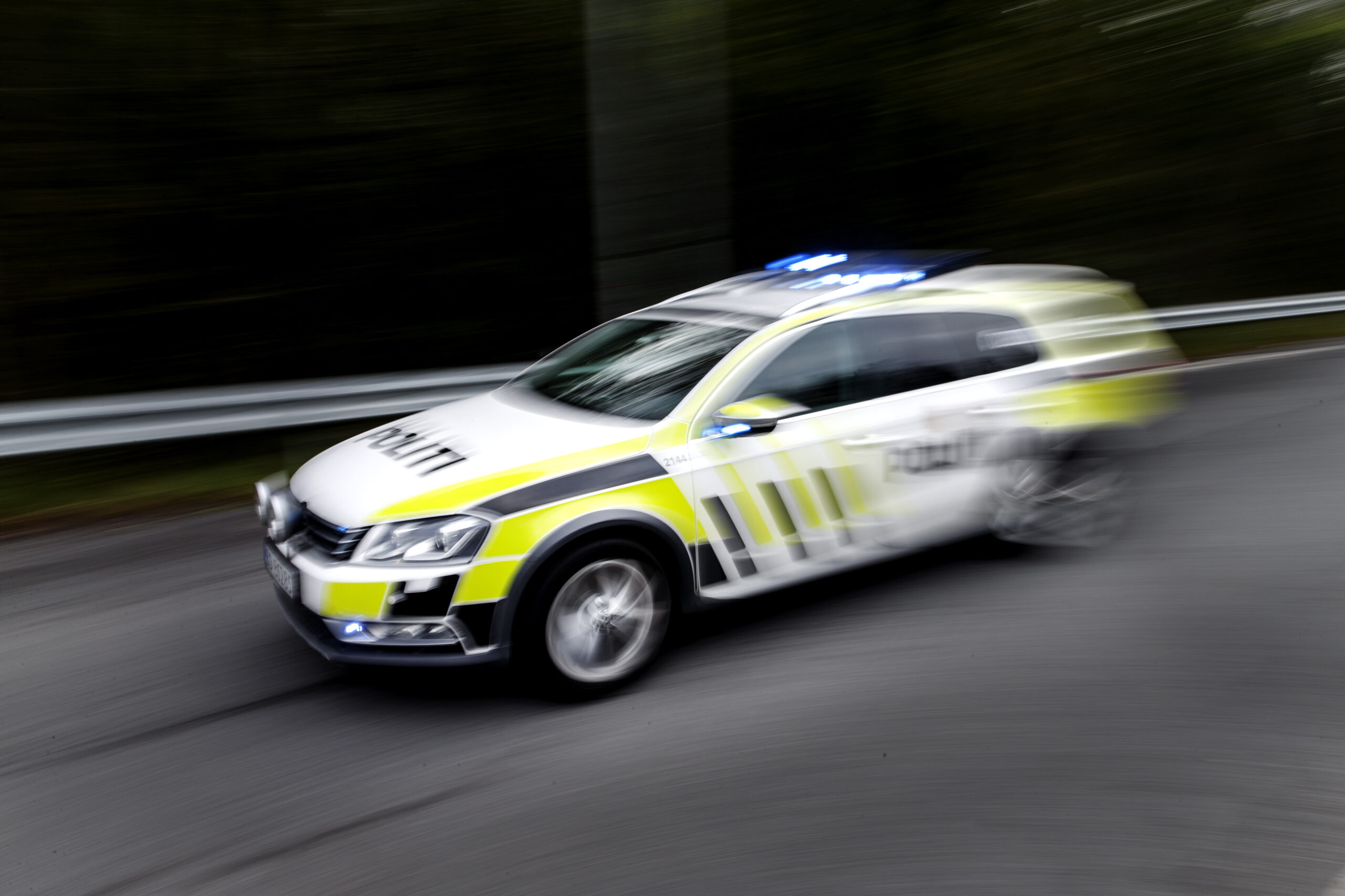 Politiet har pågrepet to personer mistenkt for forsøk på butikktyveri.
