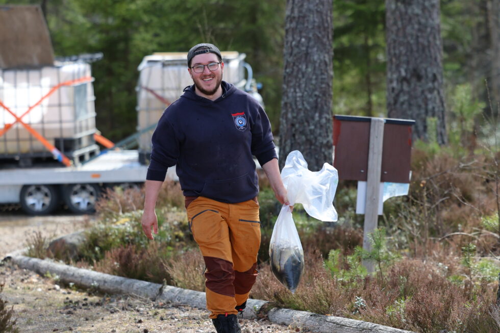 Audne Stømner er an av mange frivillige som hvert år stiller opp når Kongsvinger Jeger og Fiskeforening skal sette ut ørret på Varaldskogen.