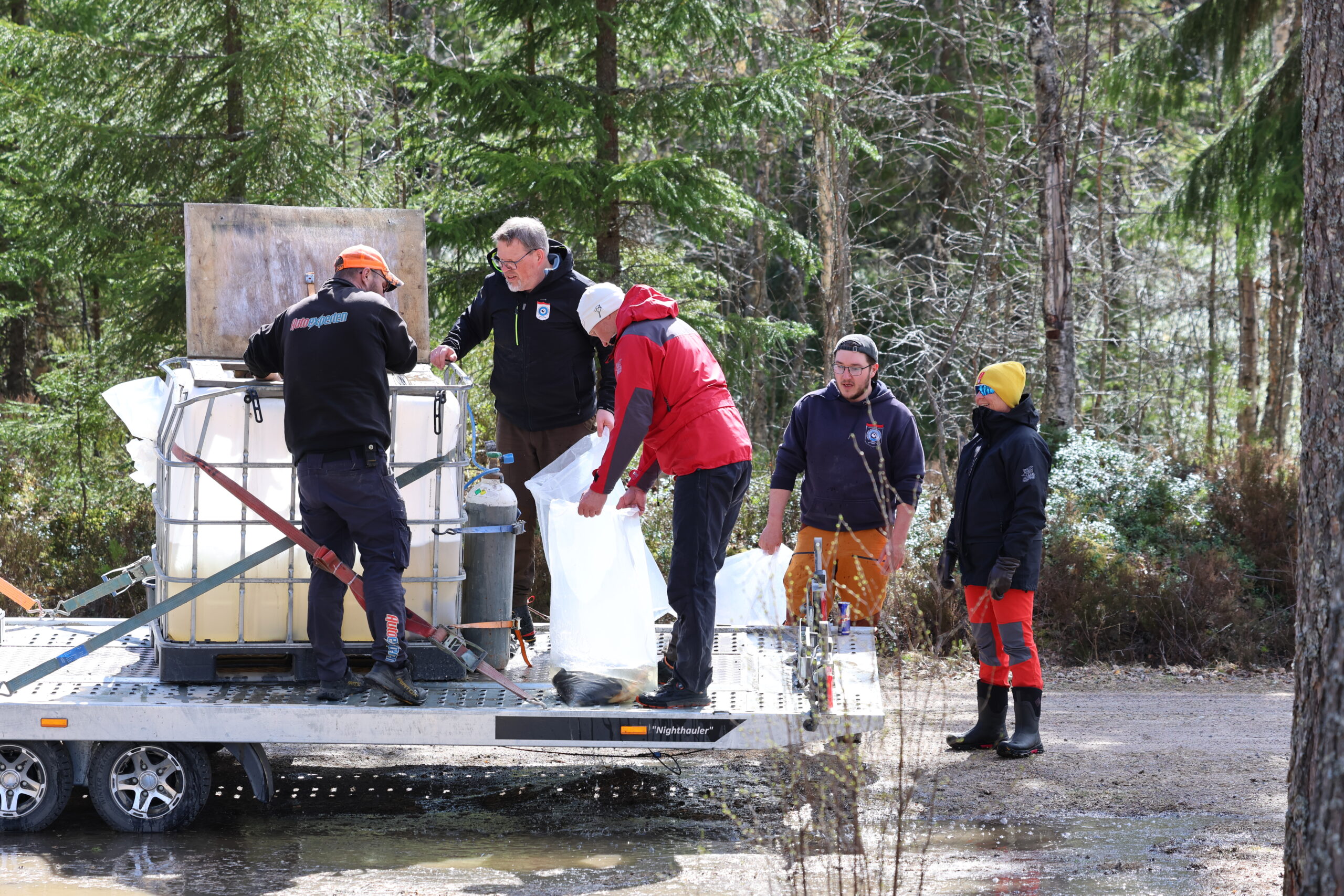 Ørreten fraktes raskt fra tank til vann i plastsekker. Der hvor det er lengre strekninger fra bil til vann, må fisken fraktes i ryggsekk.