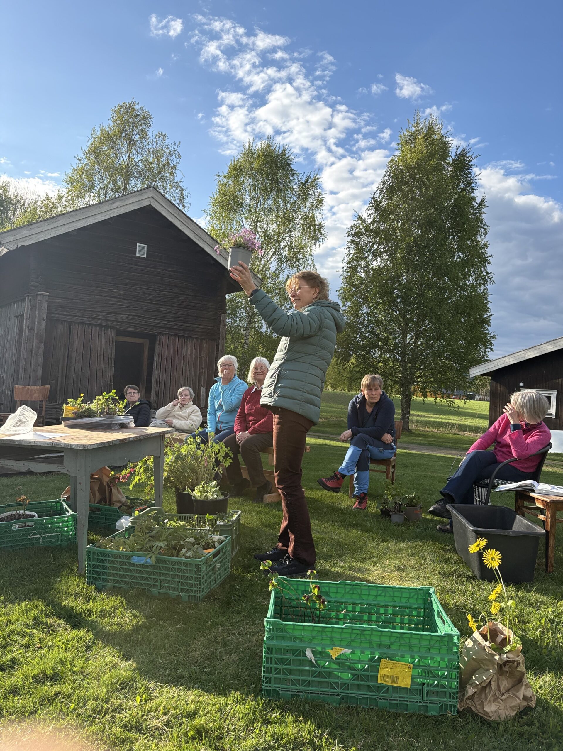 Auksjonarius Herdis Øiseth sørger for godt salg og god stemning.
