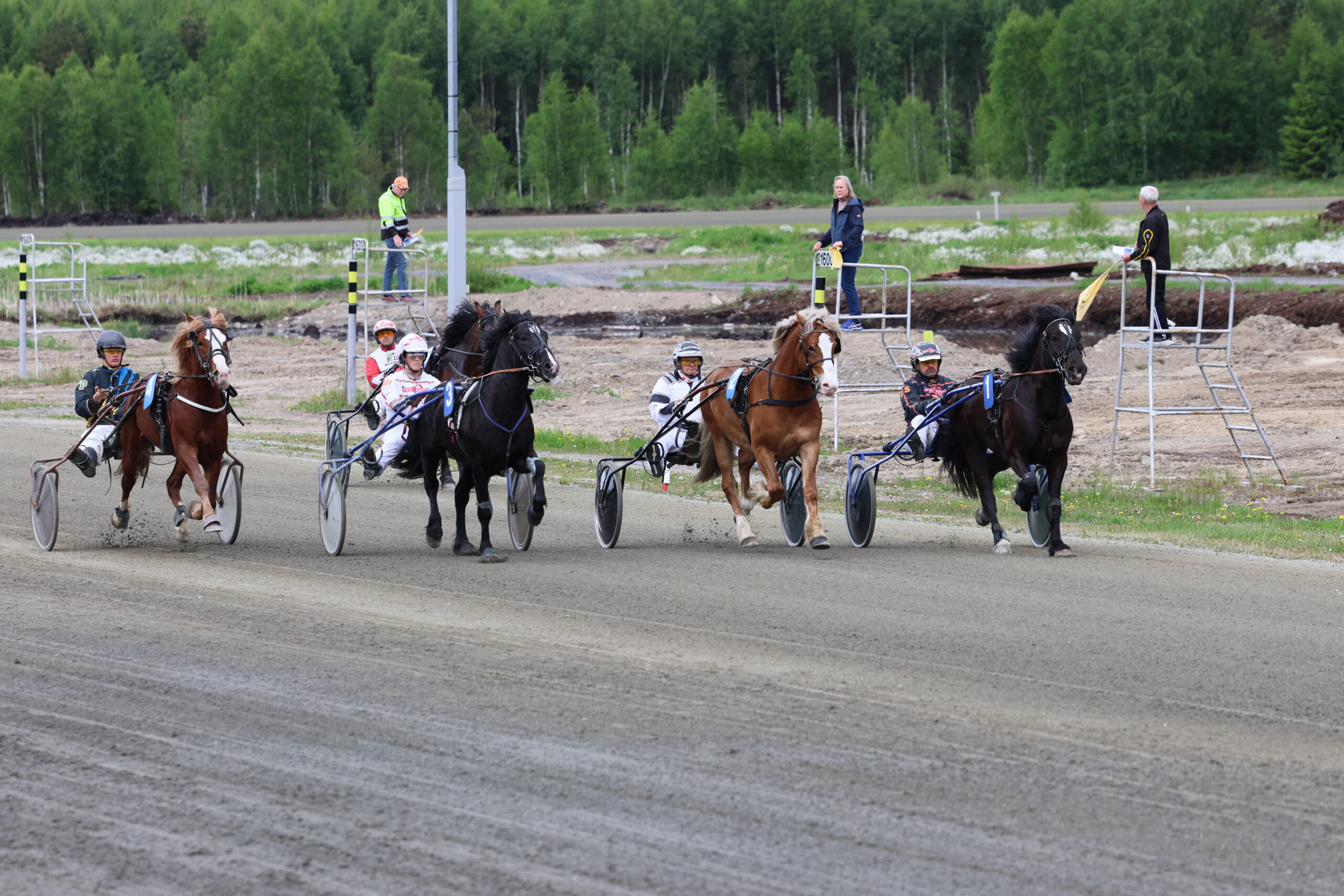 Tredje løp var 3-års pokal for 3-årige kaldblodshester.