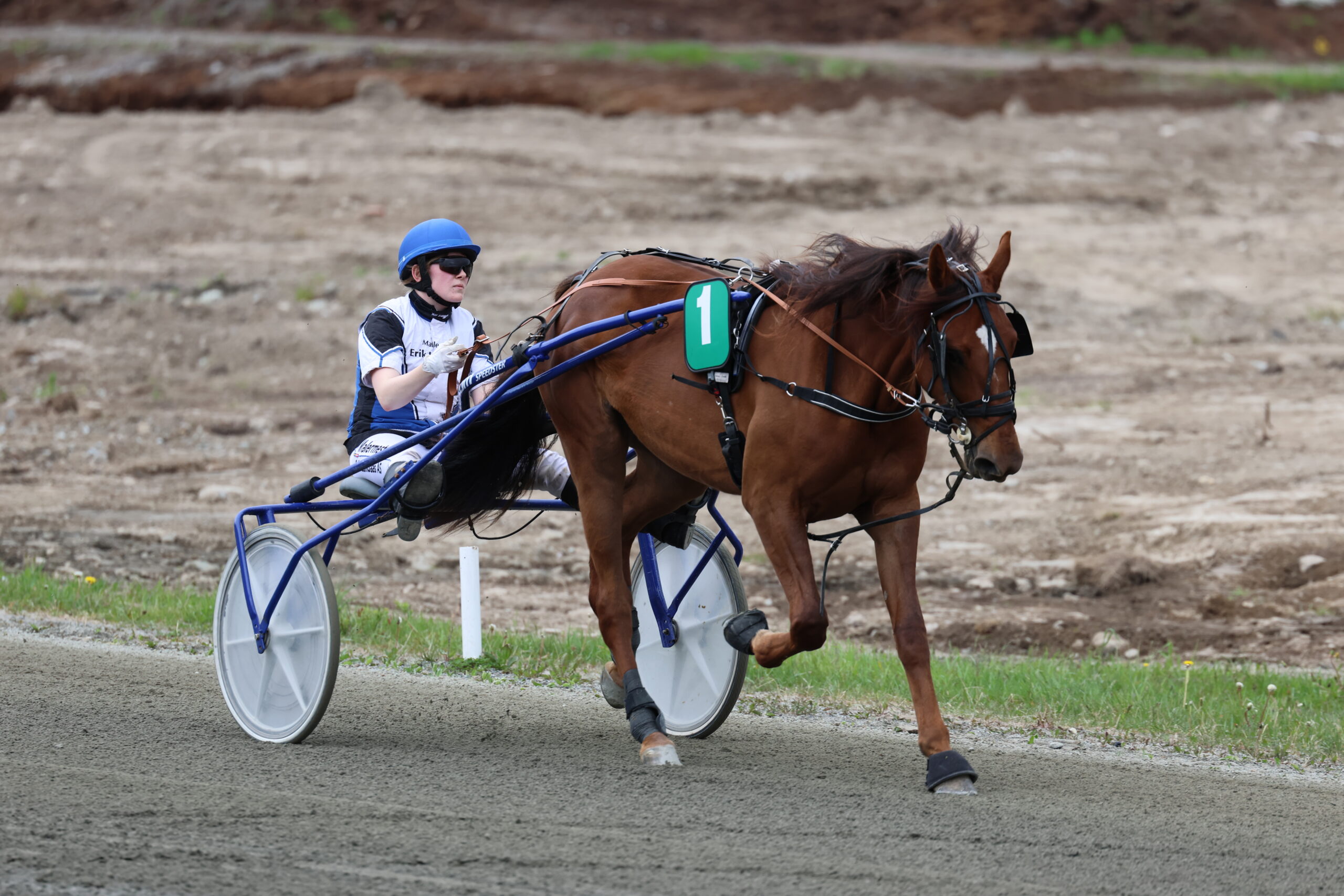 Karoline Aarskog vant med hesten R.M.G.Gold i 5.løp som var et mønstringsløp.