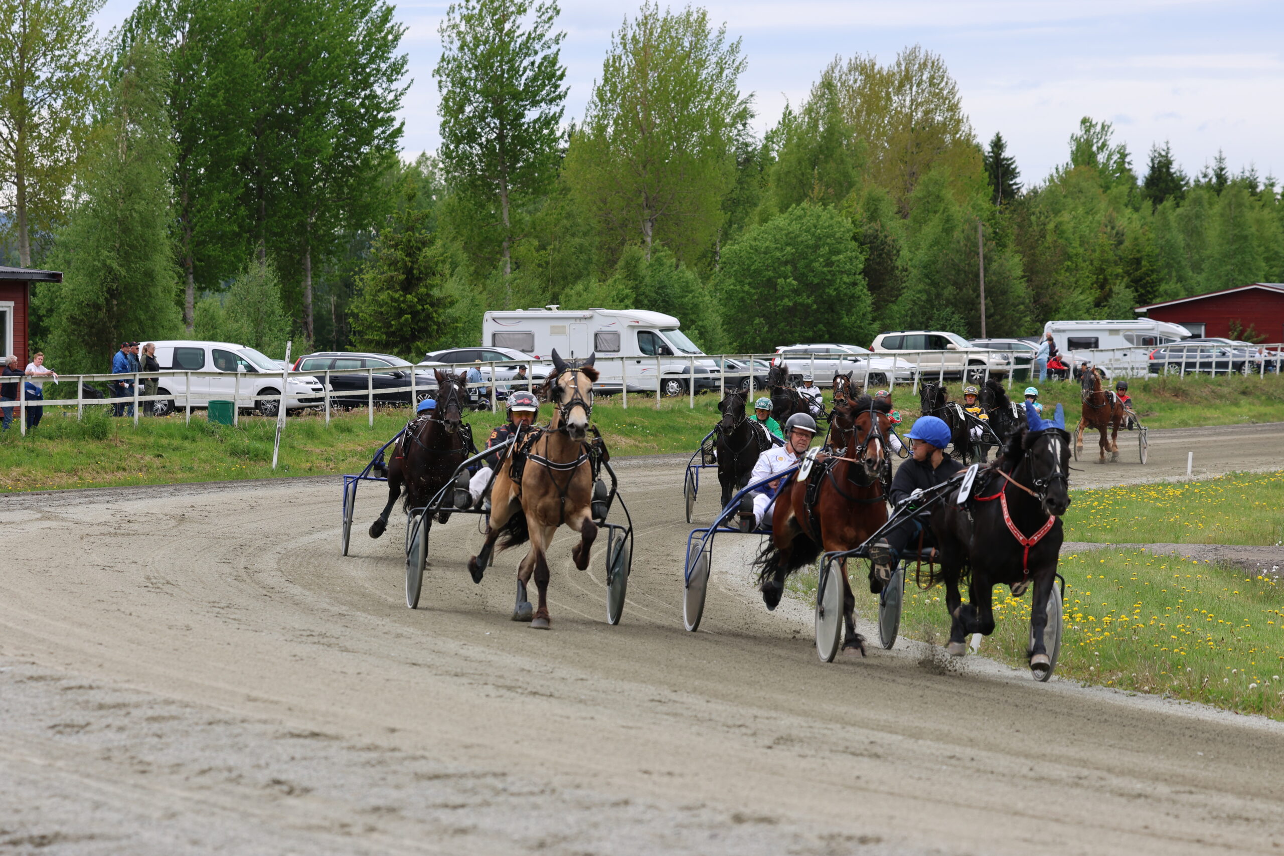 8.løp på Hov Travbane: Ragnvald Humborstads æresløp for kaldblods med 11 hester til start.