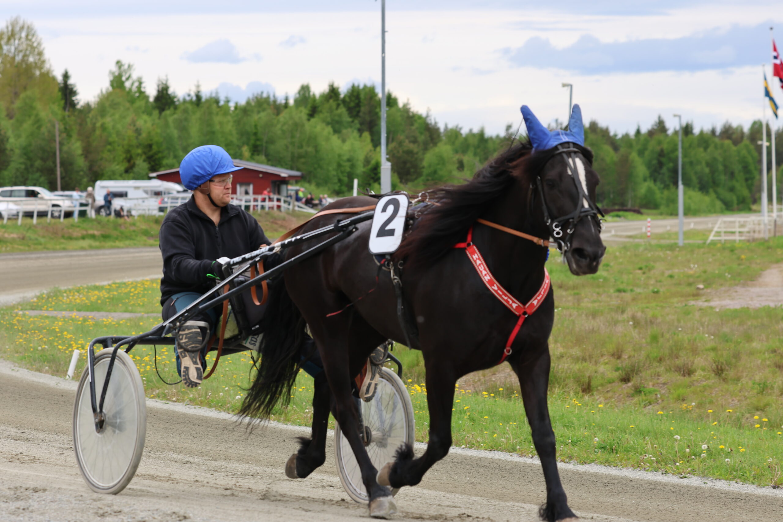 8.løp ble vunnet av hesten Hauan Vilja og kusk og eier Kjetil Lunde.