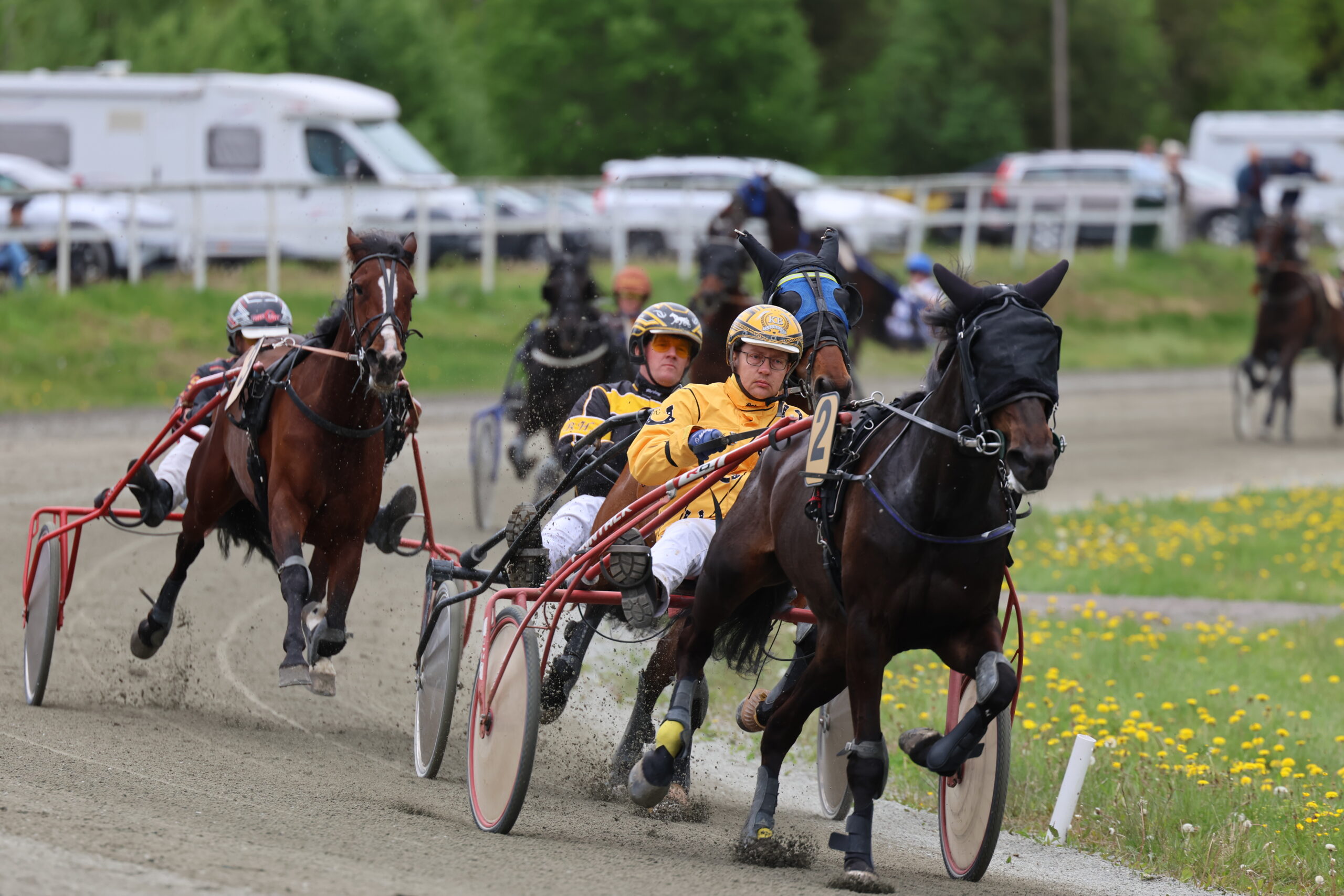 Løp 9.Kongsvinger Grand Prix: Liv Haslies æresløp med sju startende.