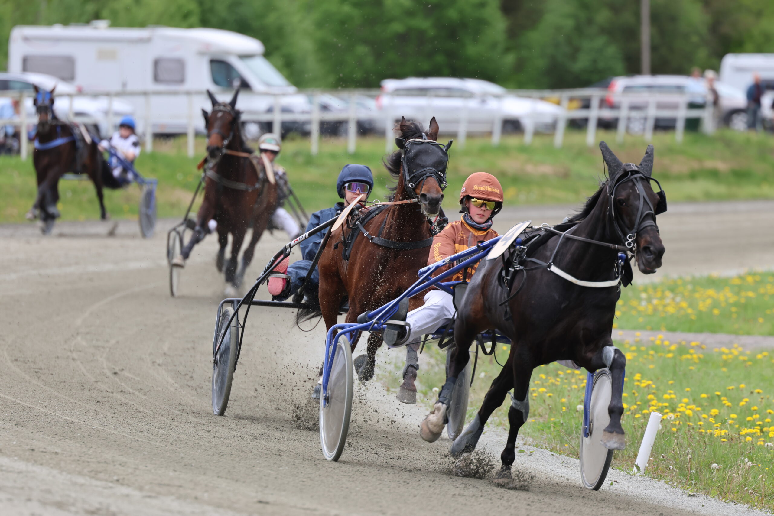 Vinner av Kongsvinger Grand Prix- Liv haslies æresløp ble hest nummer 4 Tom KI med kusk Ingrid Steinseth.