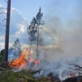 Politi og brannvesen rykket like før klokka 17 ut til en skogbrann på kommunegrensen mellom Kongsvinger og Sør-Odal. Kort tid etter melder politiet at det er kontroll på brannen og at det ikke er noen spredningsfare.